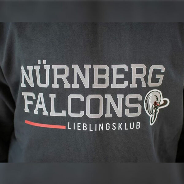 Nürnberg Falcons Fanware Hoodie Unisex