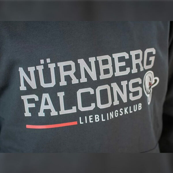 Nürnberg Falcons Fanware Hoodie Unisex